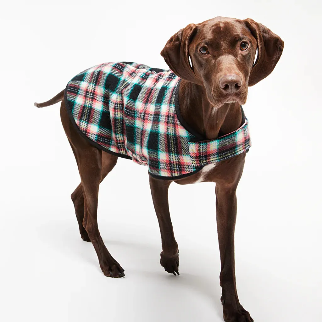 Dog Coat Pure Marino Wool Black Cockatoo Coral