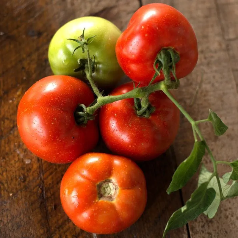Grandeur Tomato (F1 Hybrid 75 Days)