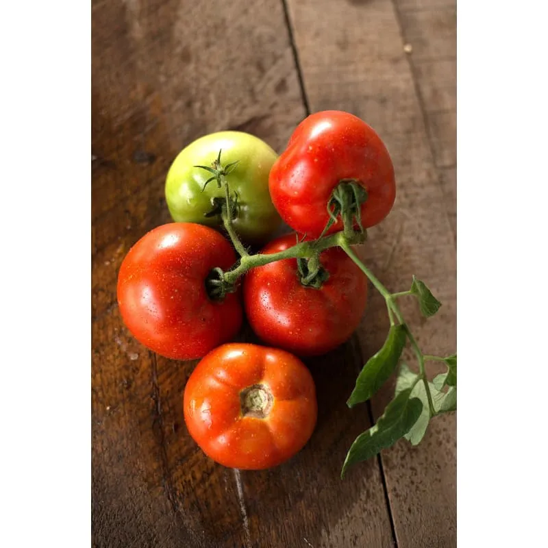 Grandeur Tomato (F1 Hybrid 75 Days)