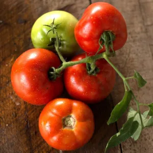 Grandeur Tomato (F1 Hybrid 75 Days)