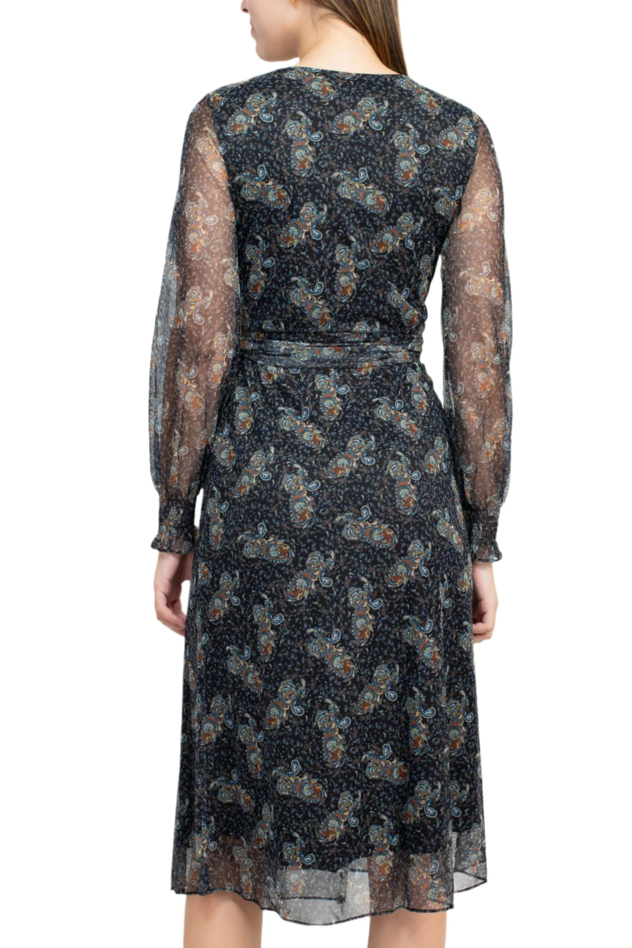 Sage Collective V-Neck Long Sleeve Tie Waist Paisley Print Power Mesh Dress