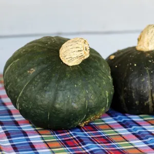 Sweet Mama Winter Squash (F1 Hybrid 85 Days)